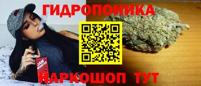 круглые Лесосибирск