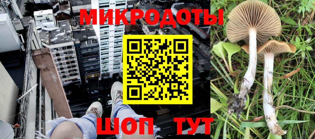 продажа наркотиков  Галлюциногенные грибы мицелий  Вход с VPN  Псилоцибиновые грибы Psilocybine cubensis  Тосно 